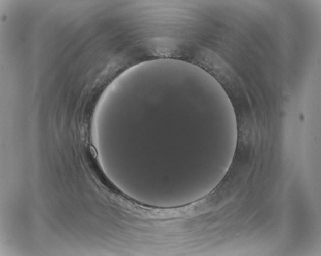 X0000062840031200602031613