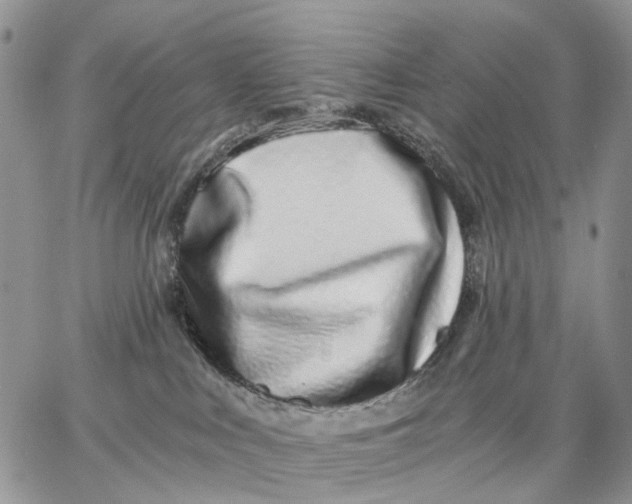 X0000062840043200602031613