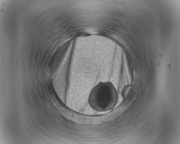 X0000062840048200602031613