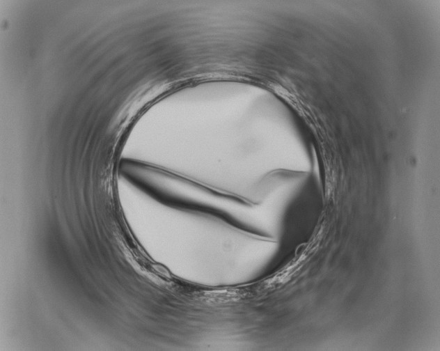 X0000062840050200602031612