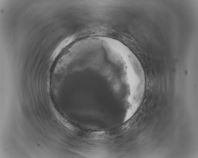 X0000062840054200602031612