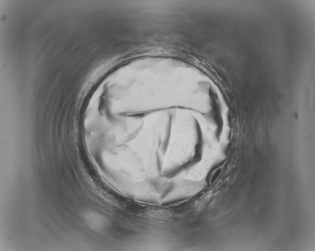 X0000062840055200602031612