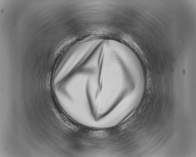 X0000062840058200602031612