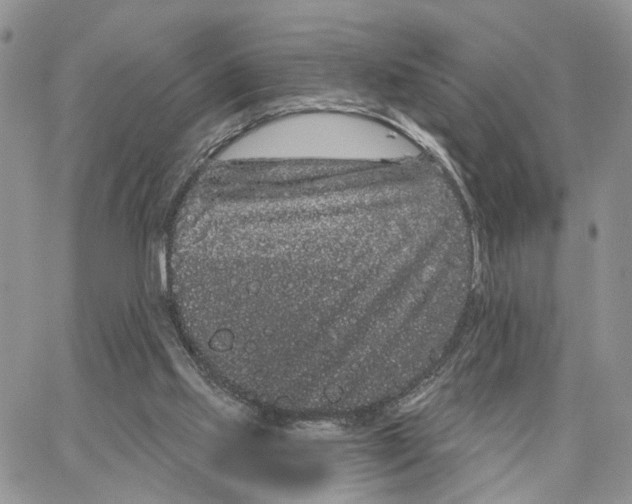 X0000062840061200602031612