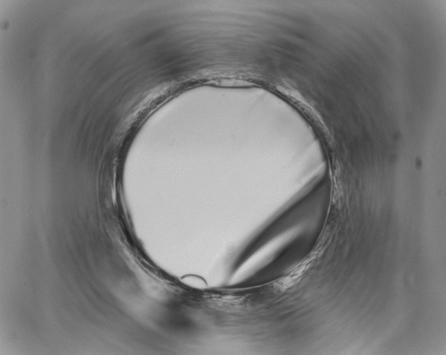 X0000062840062200602031612
