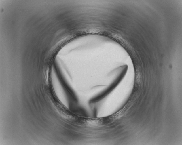 X0000062840070200602031612