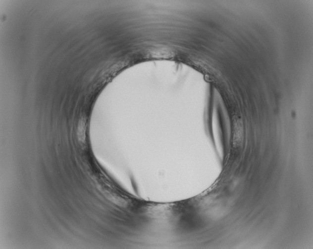 X0000062840078200602031612