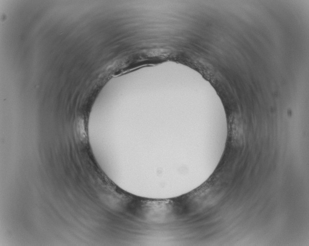 X0000062840089200602031612