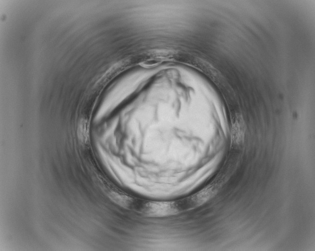 X0000062840093200602031613