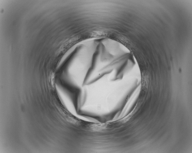 X0000062840094200602031613