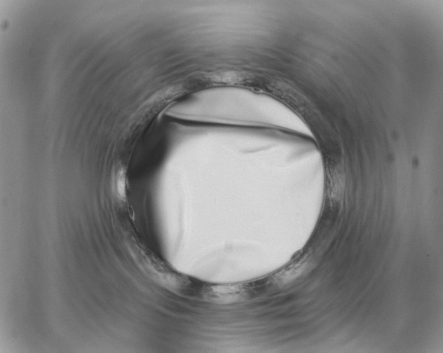 X0000062840095200602031613