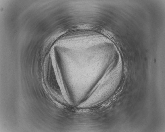 X0000062840097200602031612
