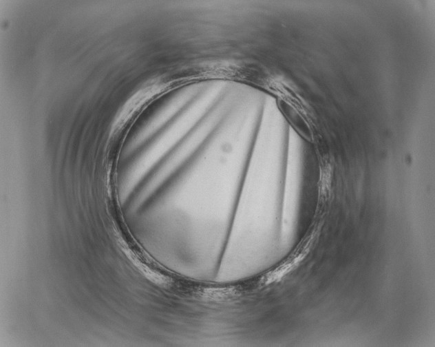 X0000062840101200602031612