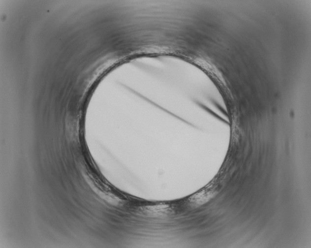 X0000062840108200602031612