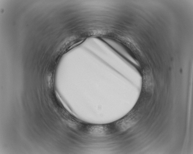 X0000062840123200602031611