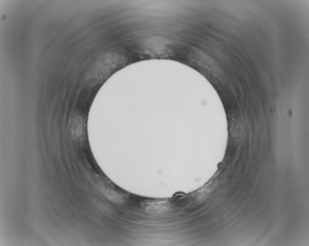 X0000062840132200602031611