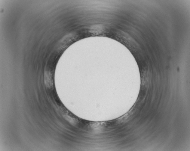 X0000062840136200602031611