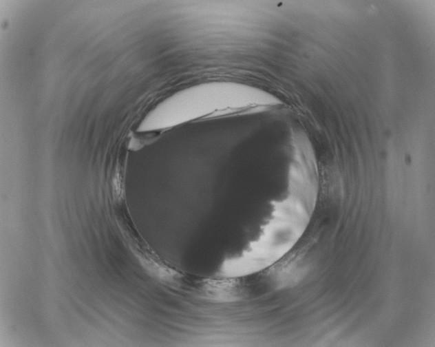 X0000062840143200602031611