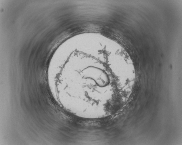 X0000062840146200602031610