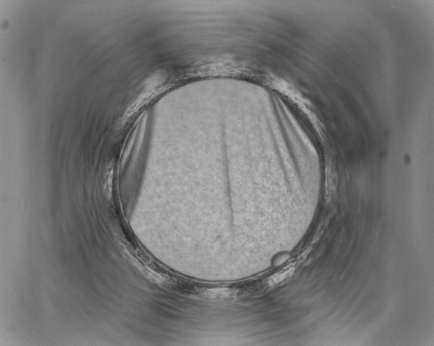 X0000062840153200602031610
