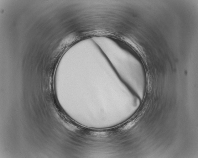 X0000062840157200602031610