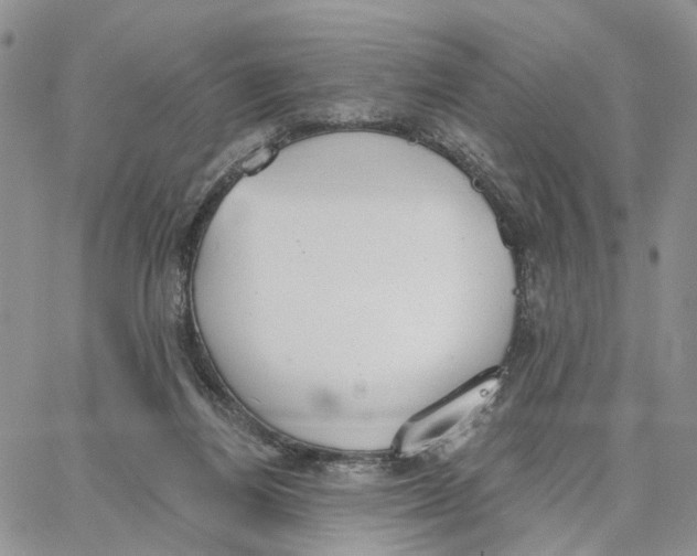 X0000062840164200602031611
