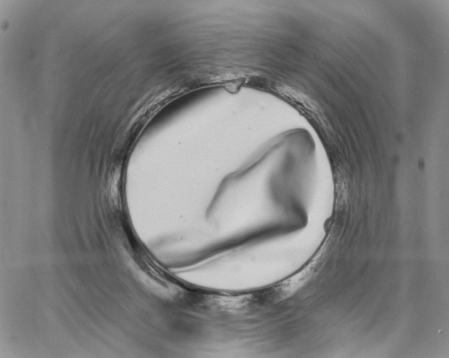 X0000062840166200602031611