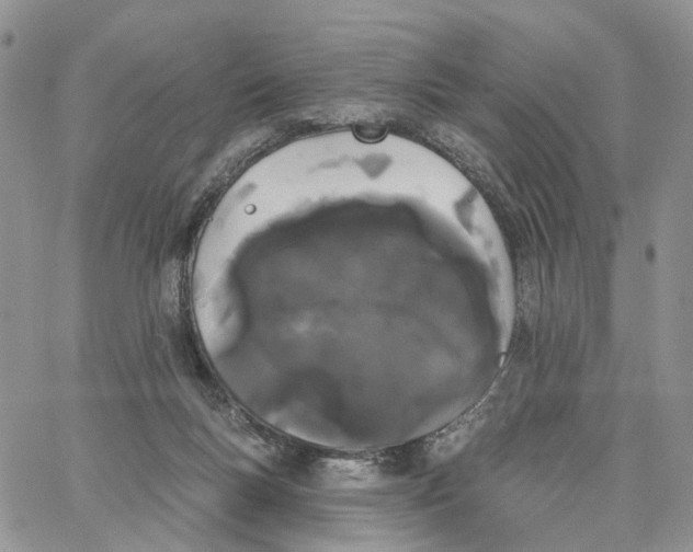 X0000062840167200602031611