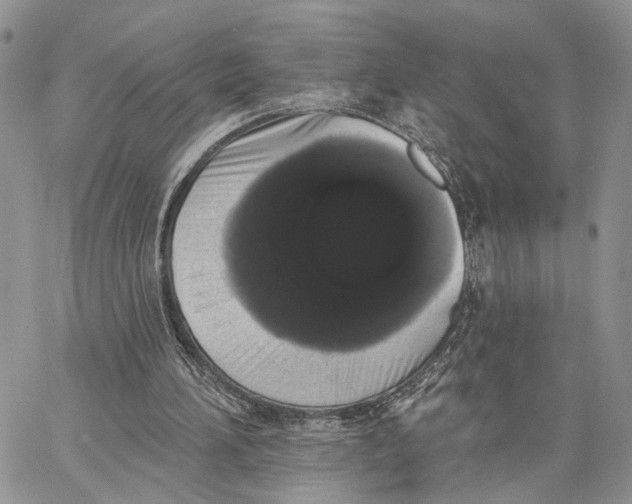X0000062840196200602031610
