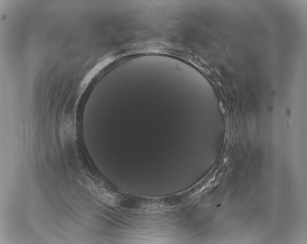 X0000062840200200602031610