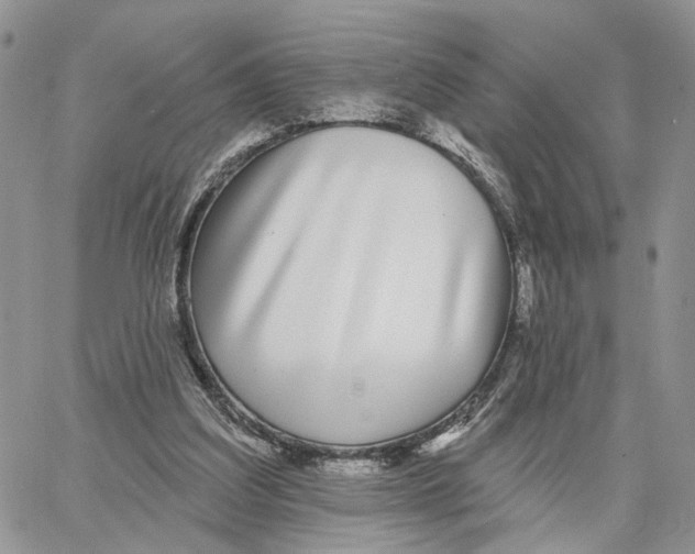 X0000062840203200602031610