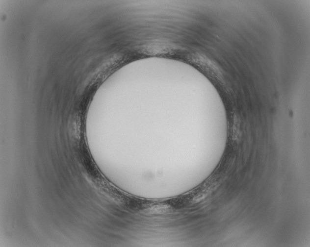 X0000062840210200602031610