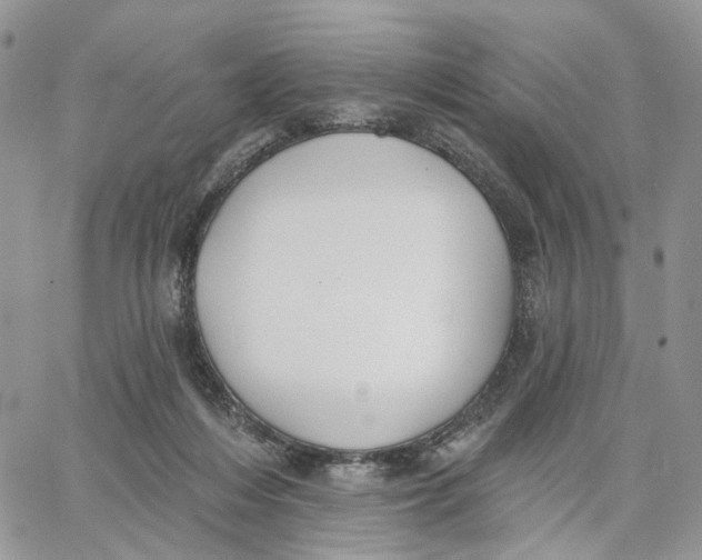 X0000062840216200602031610