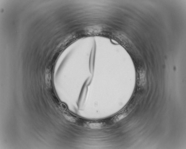 X0000062840228200602031610