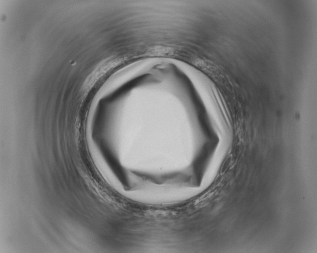 X0000062840242200602031609