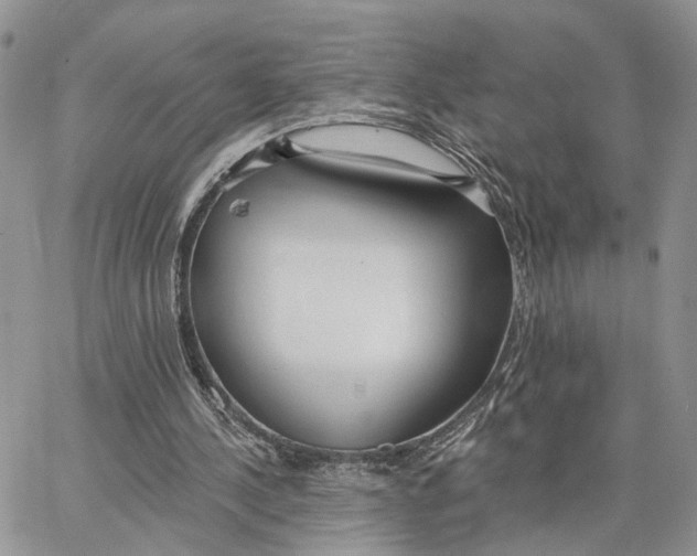 X0000062840244200602031609