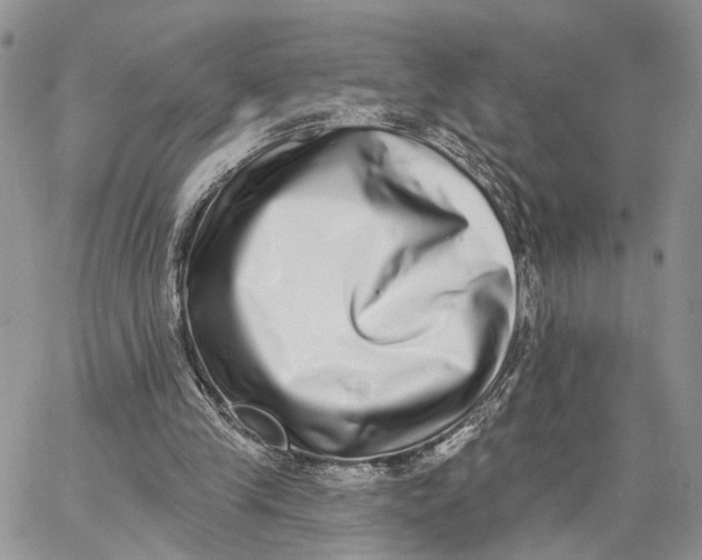 X0000062840245200602031609
