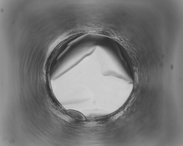 X0000062840246200602031609