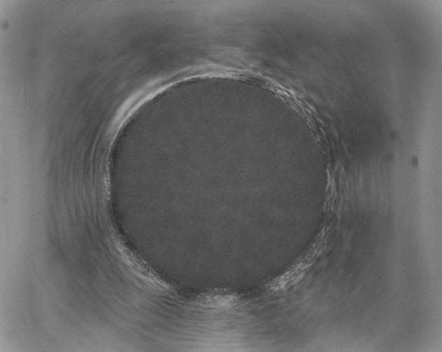 X0000062840247200602031609