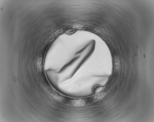 X0000062840275200602031609