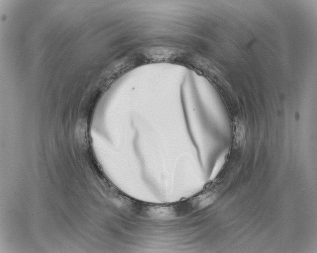X0000062840283200602031609