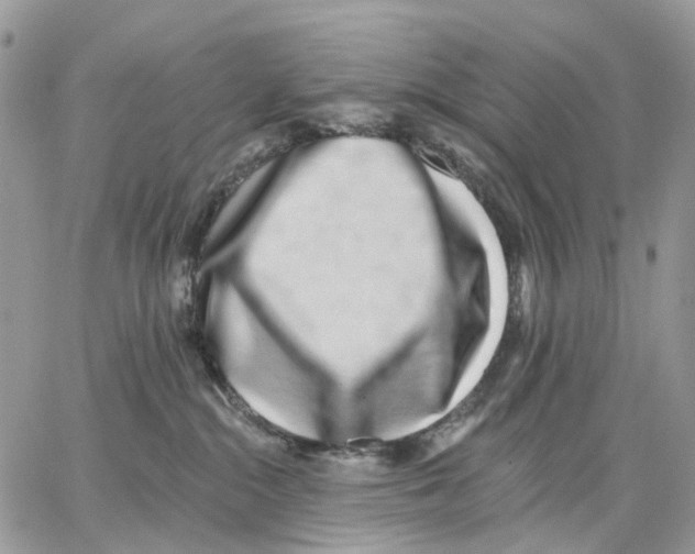 X0000062840284200602031609