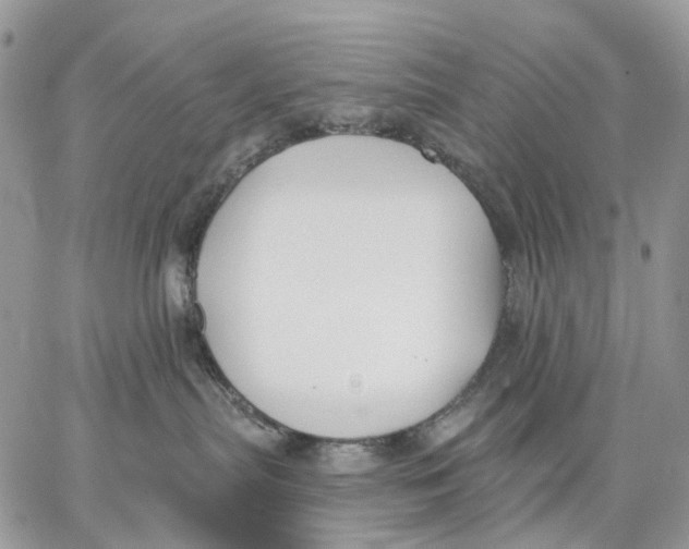 X0000062840287200602031609