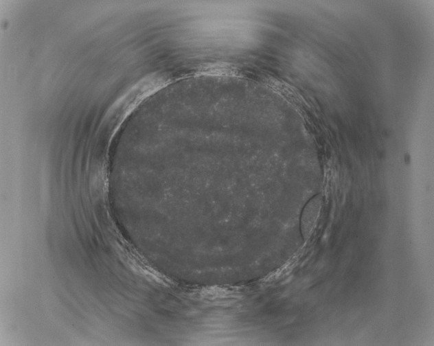X0000062840290200602031609