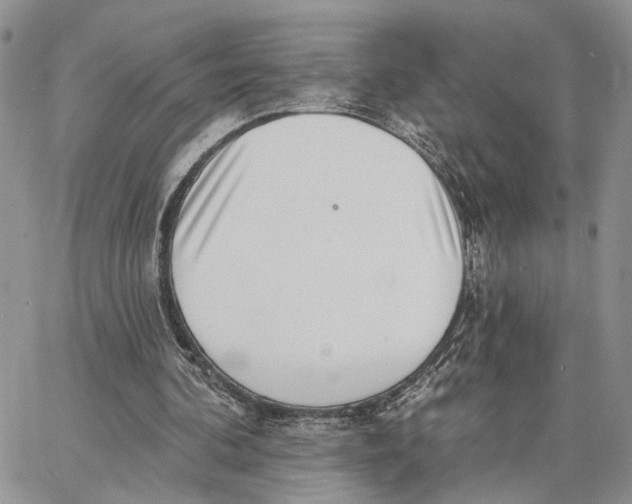 X0000062840292200602031609