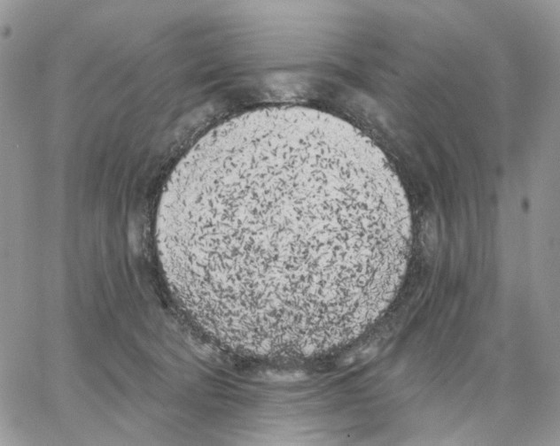 X0000062840322200602031608