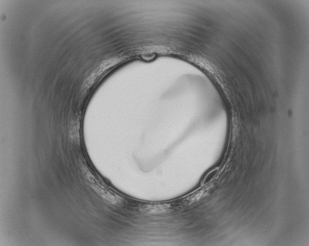X0000062840345200602031607