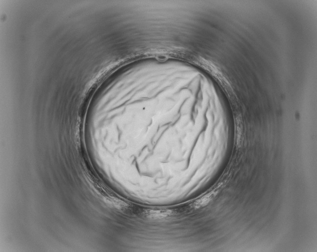 X0000062840346200602031607