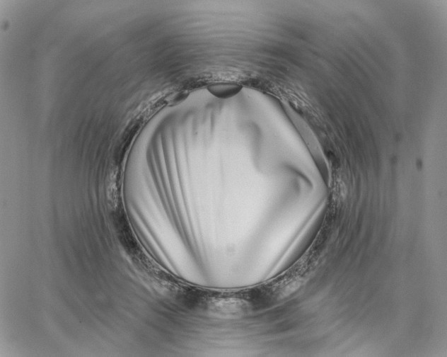 X0000062840360200602031607