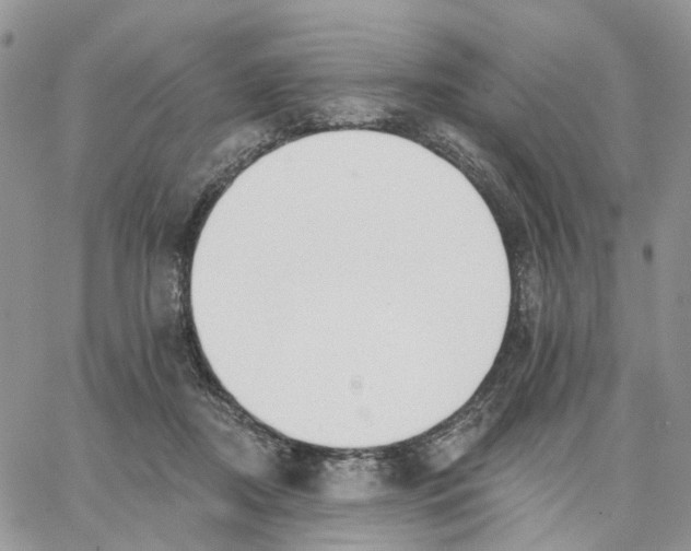 X0000062840362200602031608